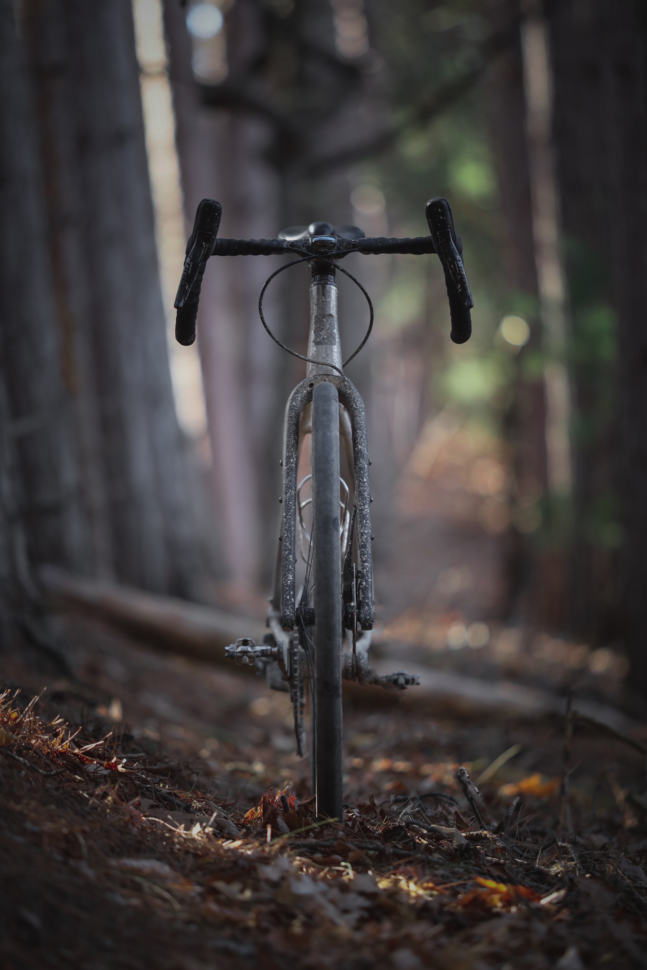 Thunderhawk gravel bike in the woods